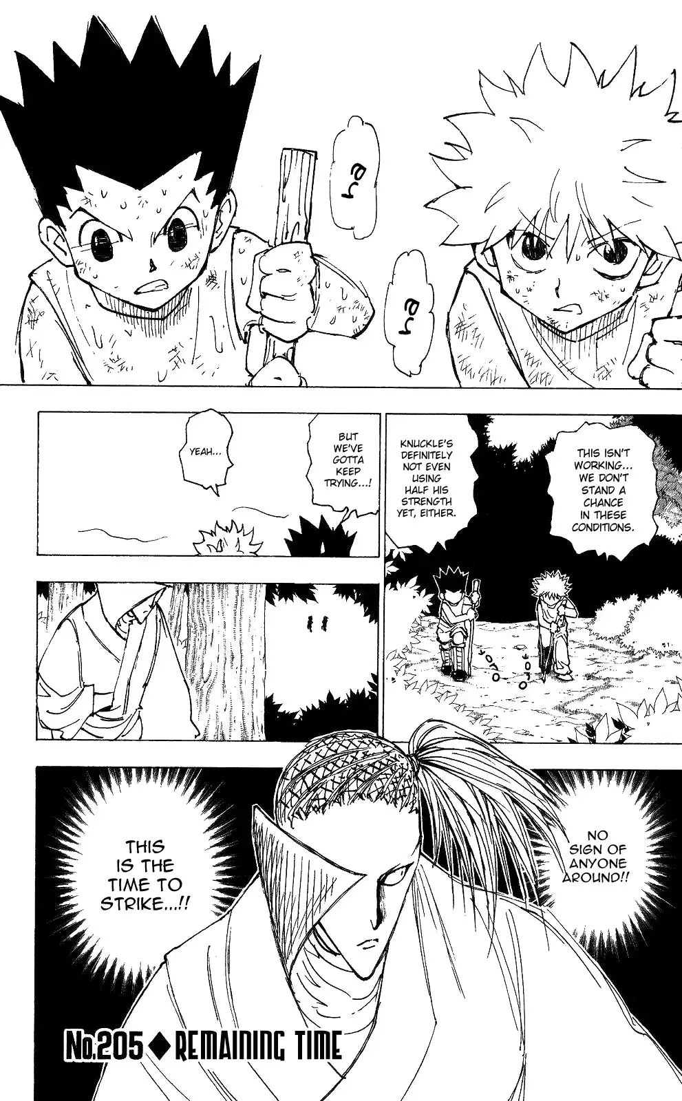 Hunter x Hunter Chapter 205 1